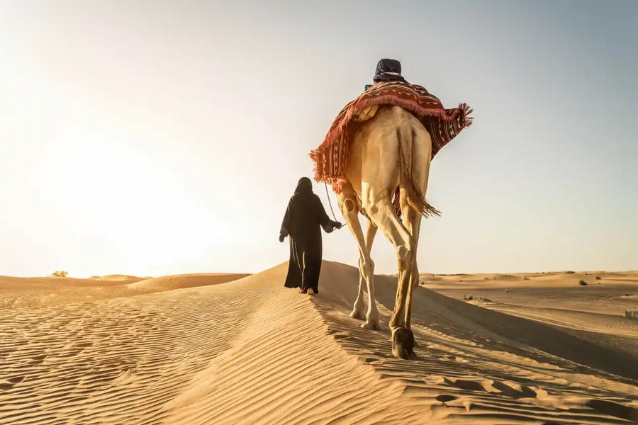 L’élégance du voyage